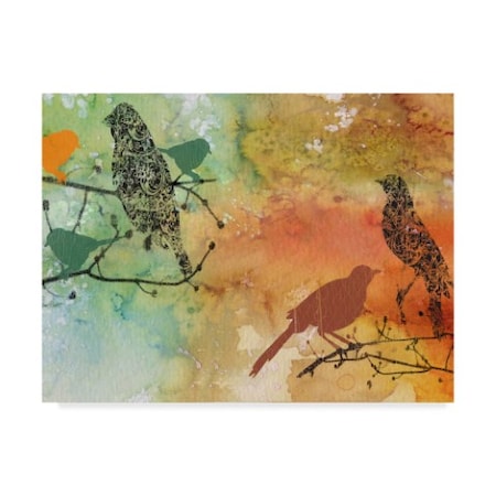 Jean Plout 'Birds On Watercolor' Canvas Art,24x32
